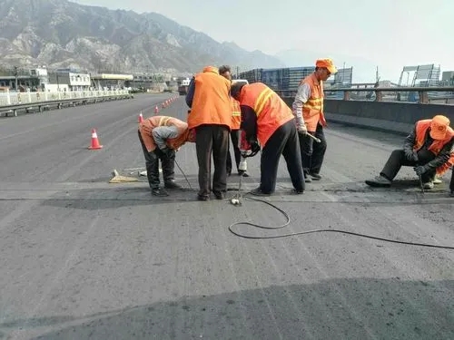 金平道路桥梁病害治理